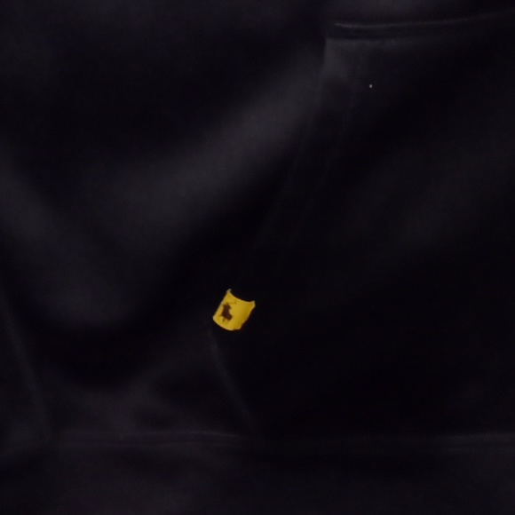 Ralph Lauren Polo Sport Hoodie. E U.C.! - Picture 7 of 11